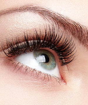 Volure Medium - Luxury Human Hair Lashes HairArt Int'l Inc.