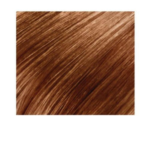Straight - Hairart Clip-In  Extensions: 24"