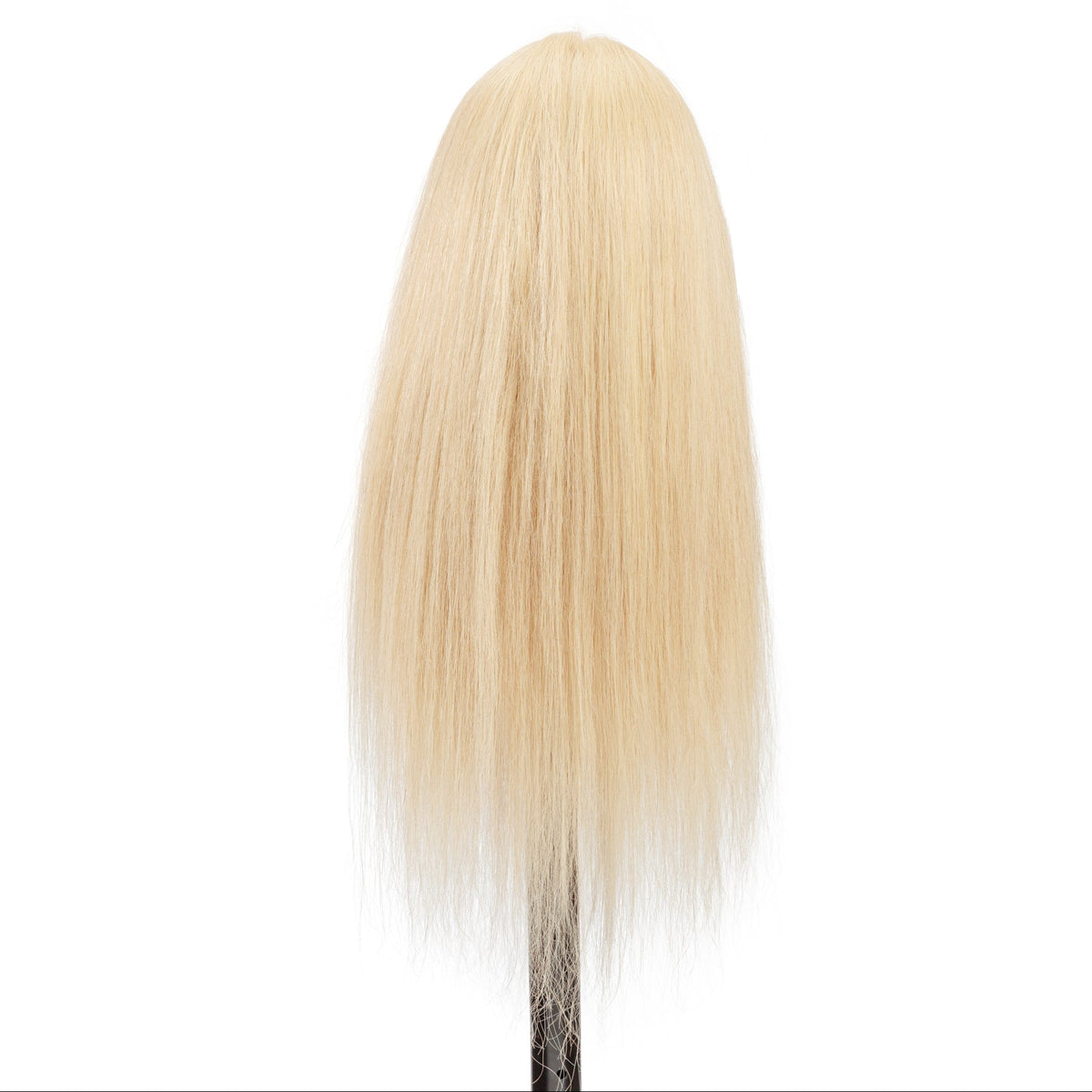 Blonde Ava Updo & Bridal Training Mannequin [100% Human Hair]
