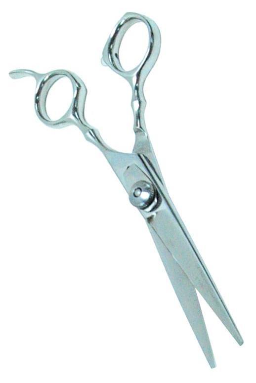 BV Shears HairArt Int'l Inc.