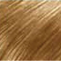 Bangs (Clip-ins, 100% Human Hair) HairArt Int'l Inc.