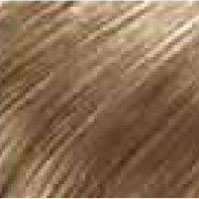 Bangs (Clip-ins, 100% Human Hair) HairArt Int'l Inc.