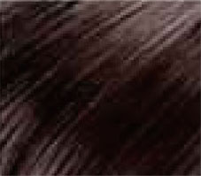 Bangs (Clip-ins, 100% Human Hair) HairArt Int'l Inc.