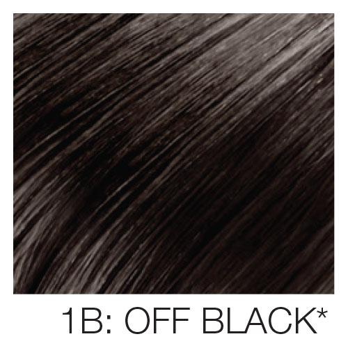 Bangs (Clip-ins, 100% Human Hair) HairArt Int'l Inc.