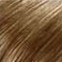 Bangs (Clip-ins, 100% Human Hair) HairArt Int'l Inc.