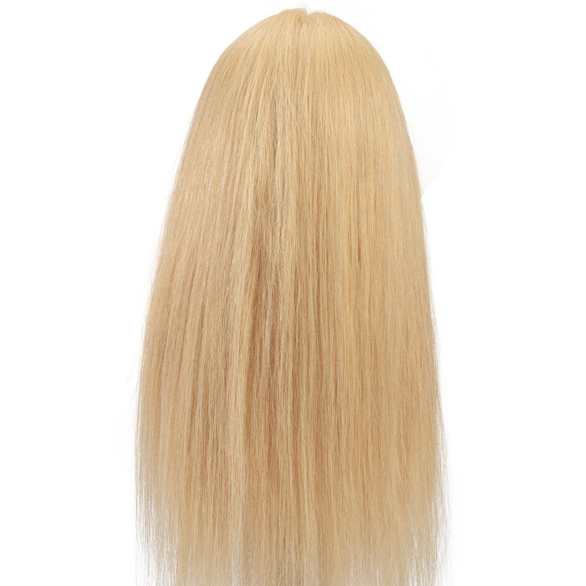 Blonde Ava Updo & Bridal Training Mannequin [100% Human Hair] HairArt Int'l Inc.