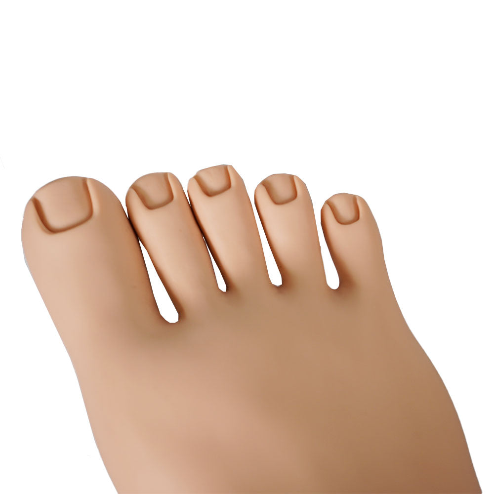 Rubber Foot (Right)- Practice Pedicures