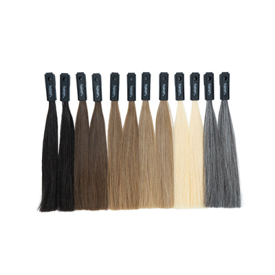 HairArt Professional Color Swatches – Color Shade Collection | 12 Pcs
