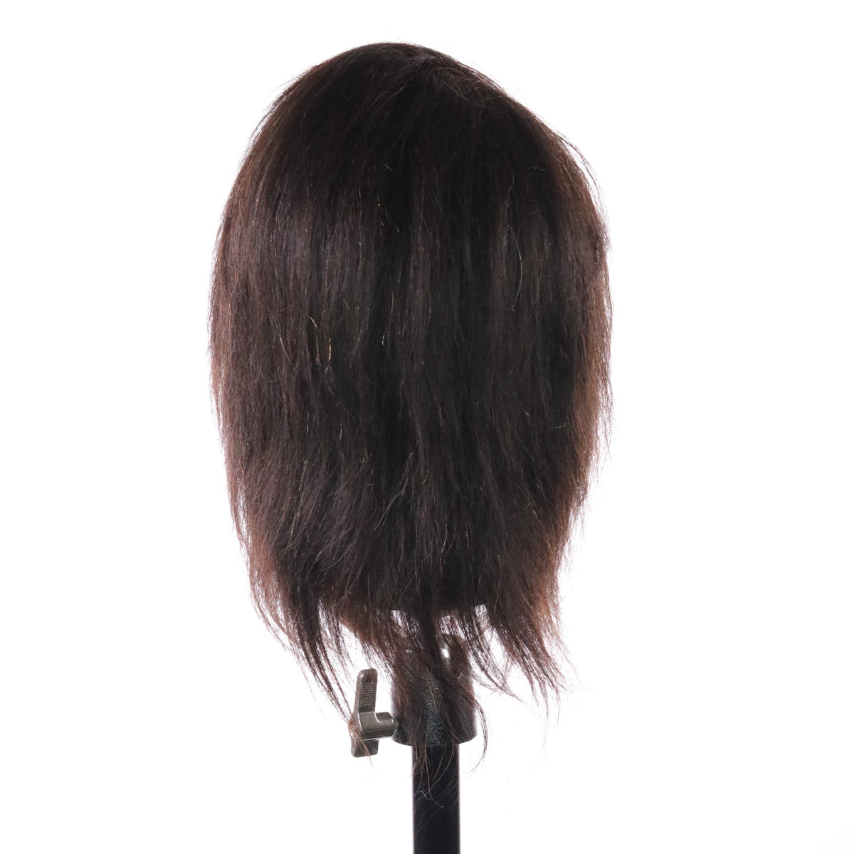 Abe [100% Human Hair Mannequin]