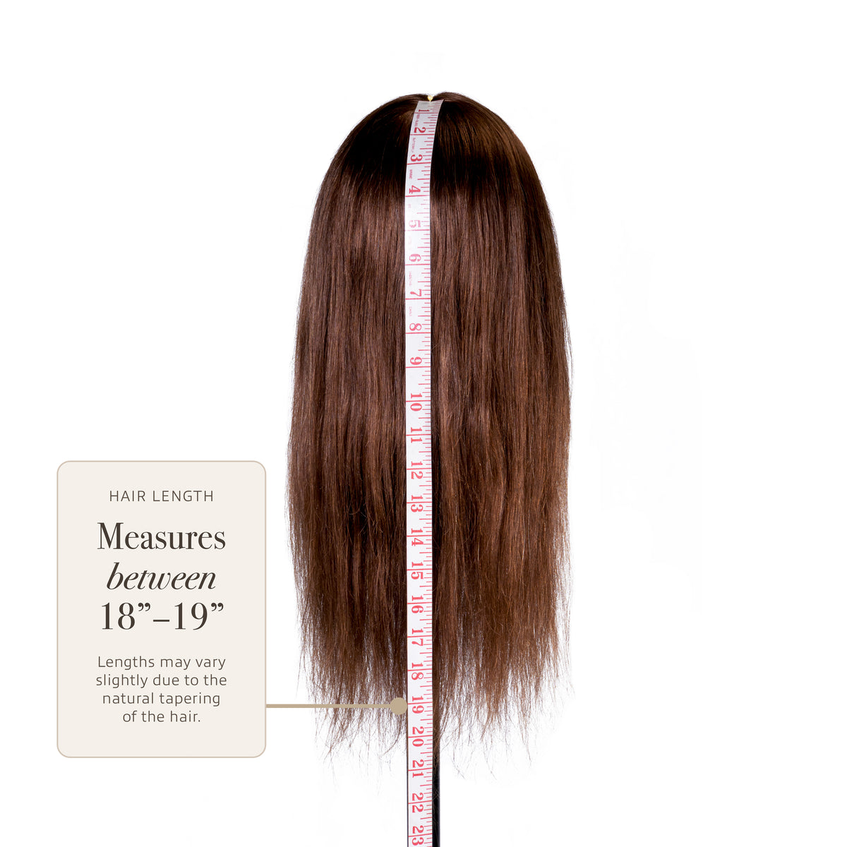 Isabella: [100% Human Hair Mannequin] Long Hair Training Head