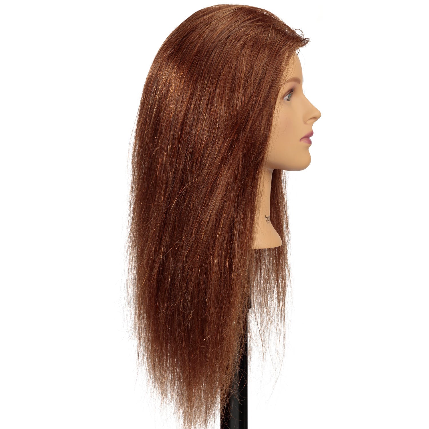 Isabella: [100% Human Hair Mannequin] Long Hair Training Head HairArt Int'l Inc.