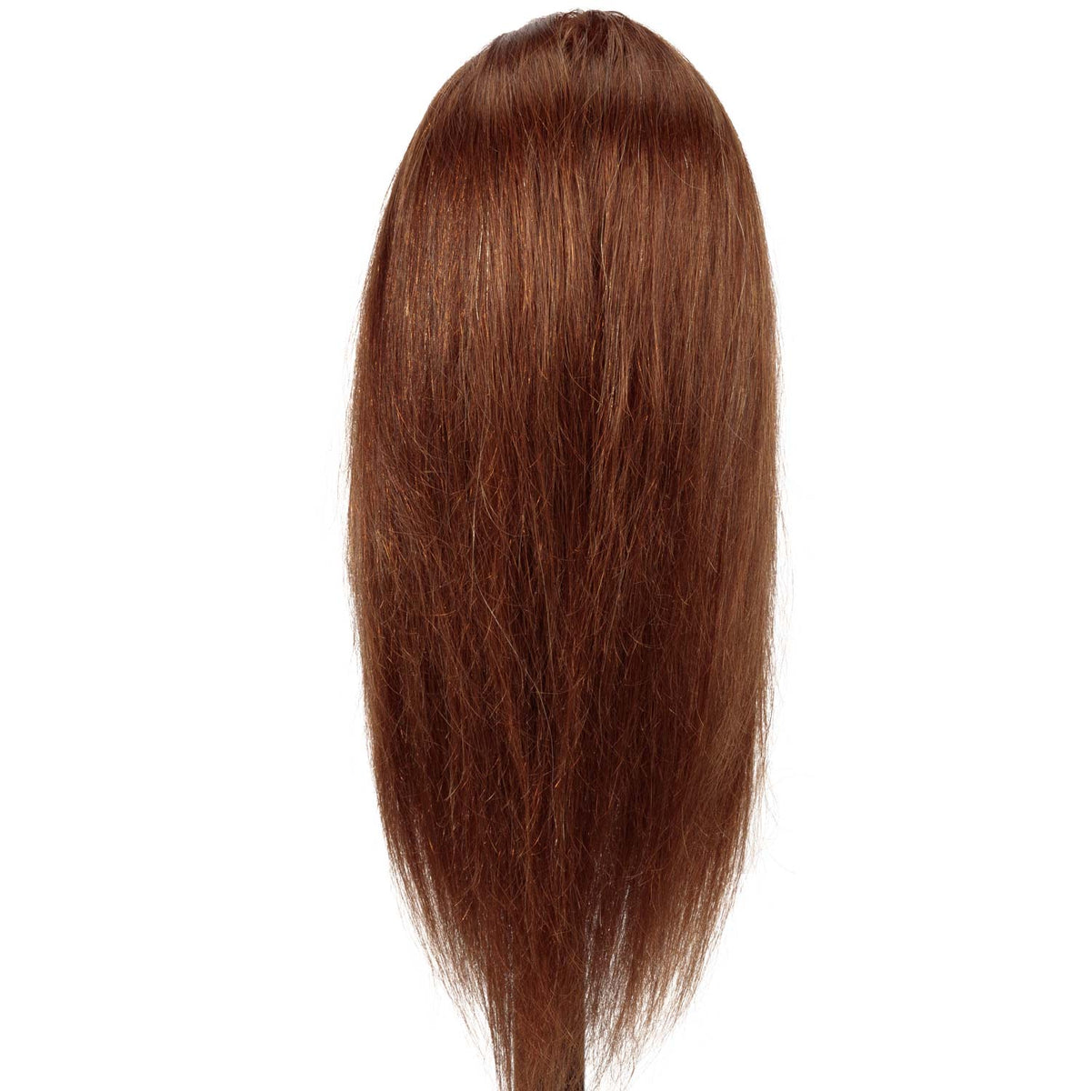 Isabella: [100% Human Hair Mannequin] Long Hair Training Head HairArt Int'l Inc.