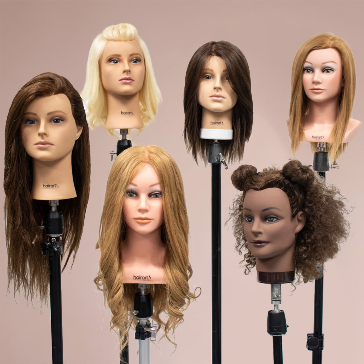 Professional Salon Styling Tools, Hair Mannequins, and Appliances