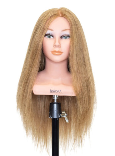 Competition 20 2x Hair Density  [100% Human Hair Mannequin]