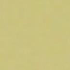 Small Comb Clip (15/16")