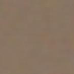 LARGE COMB CLIP (1 1/4")